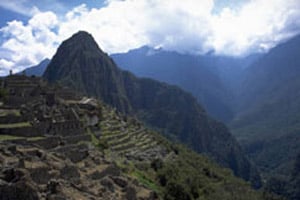 The Steppes in the Andes